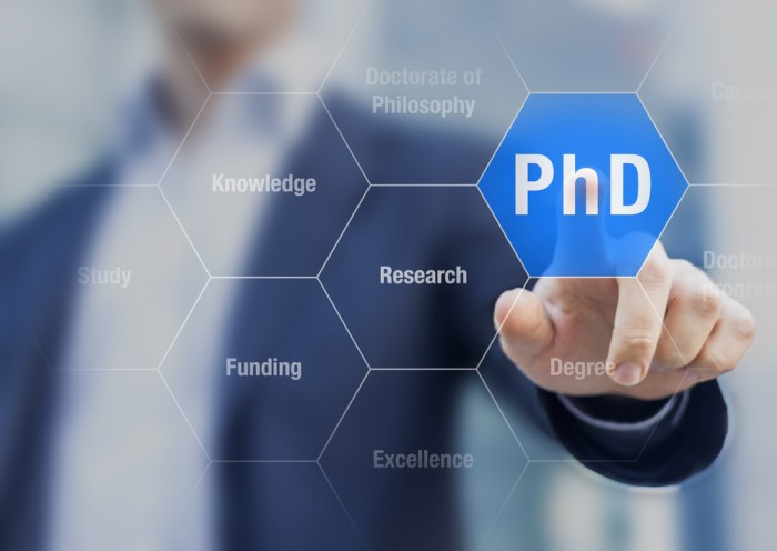 phd in research online